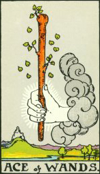 Ace of Wands in reversed orientation